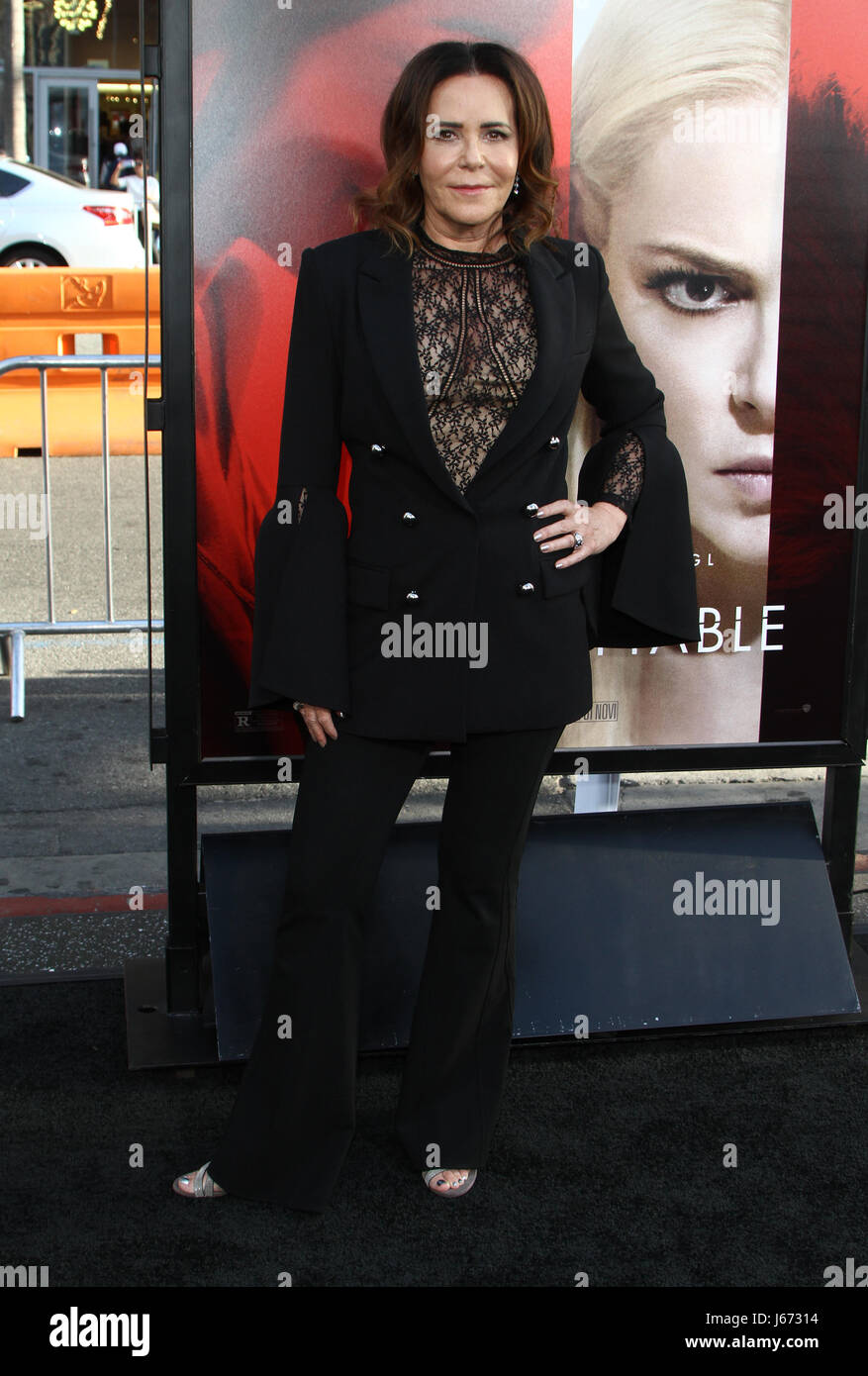 Premiere of Warner Bros. Pictures' 'Unforgettable' - Arrivals  Featuring: Denise Di Novi Where: Hollywood, California, United States When: 18 Apr 2017 Credit: FayesVision/WENN.com Stock Photo