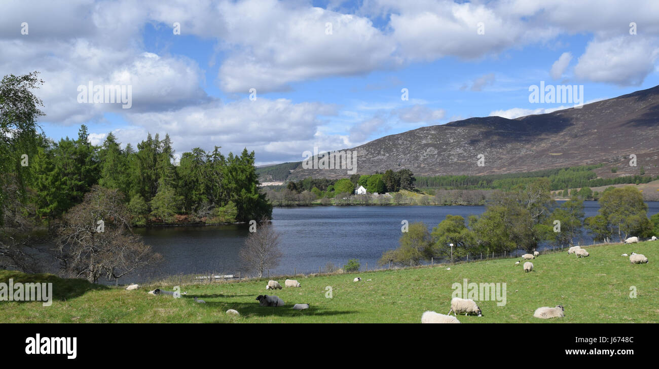 Loch Alvie - Alvie Church in Background Stock Photo