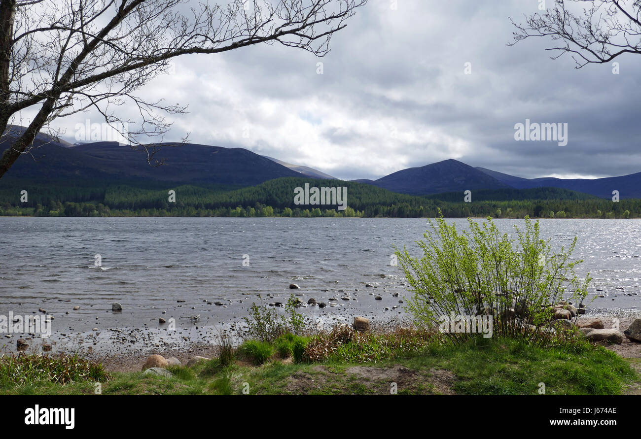 Loch Morlich Shore - Cairngorms in Background Stock Photo