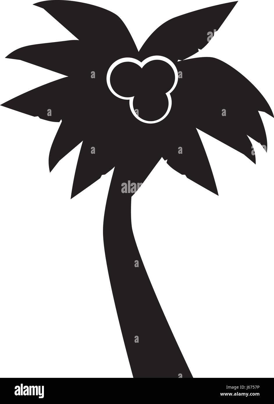 tropical tree palm with coconuts Stock Vector Image & Art - Alamy