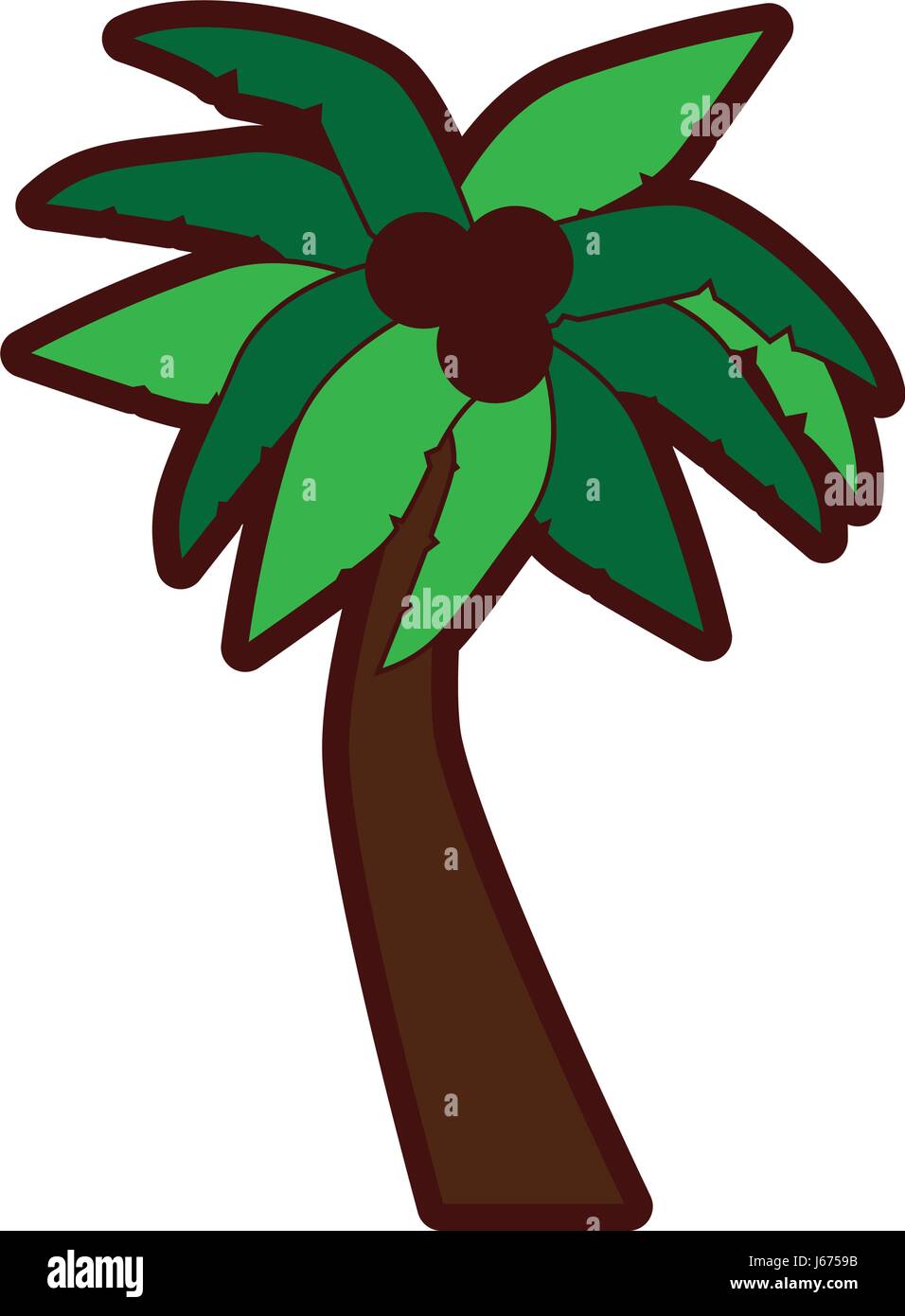 tropical tree palm with coconuts Stock Vector Image & Art - Alamy