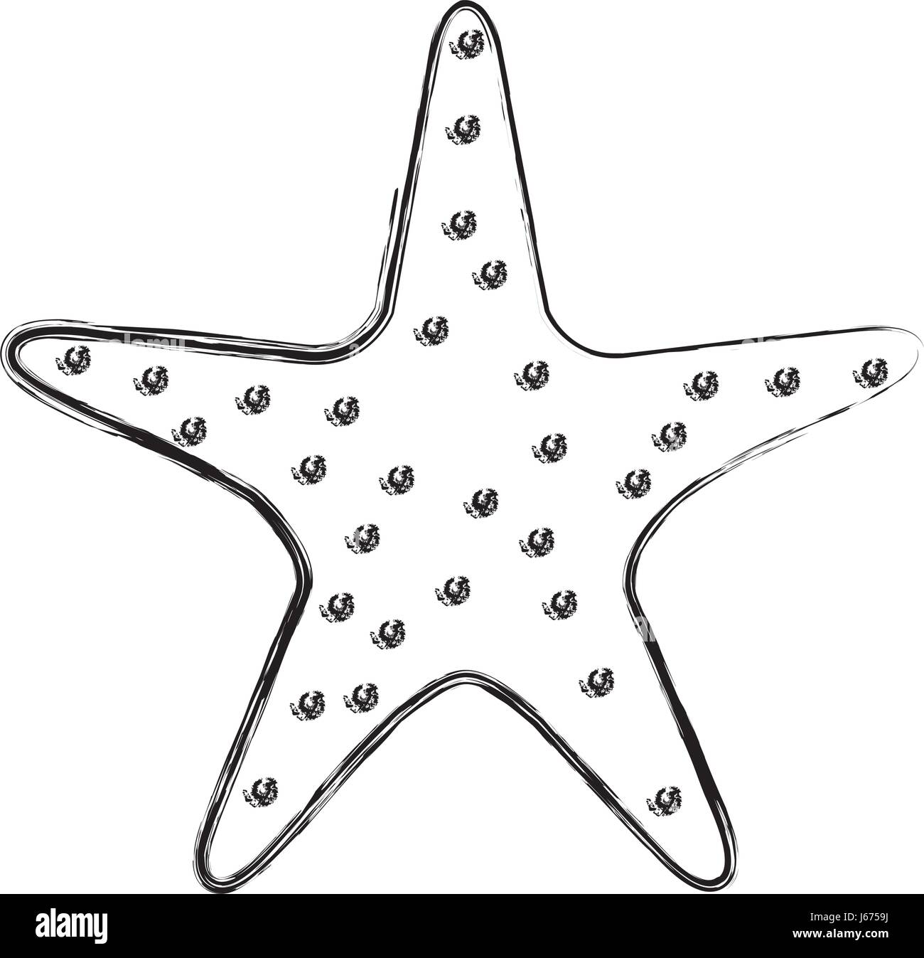 starfish tropical isolated icon Stock Vector Image & Art - Alamy
