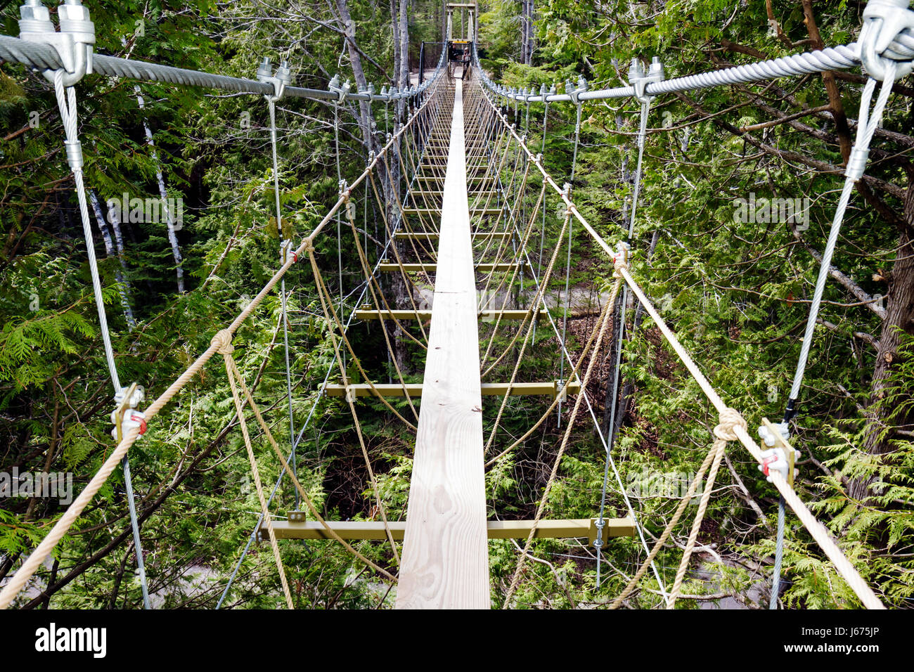 Michigan Mackinaw City,Mackinac State historic Parks Park,historic Mill Creek Discovery Park,Forest Canopy Bridge,cable bridge,suspension,challenge,MI Stock Photo