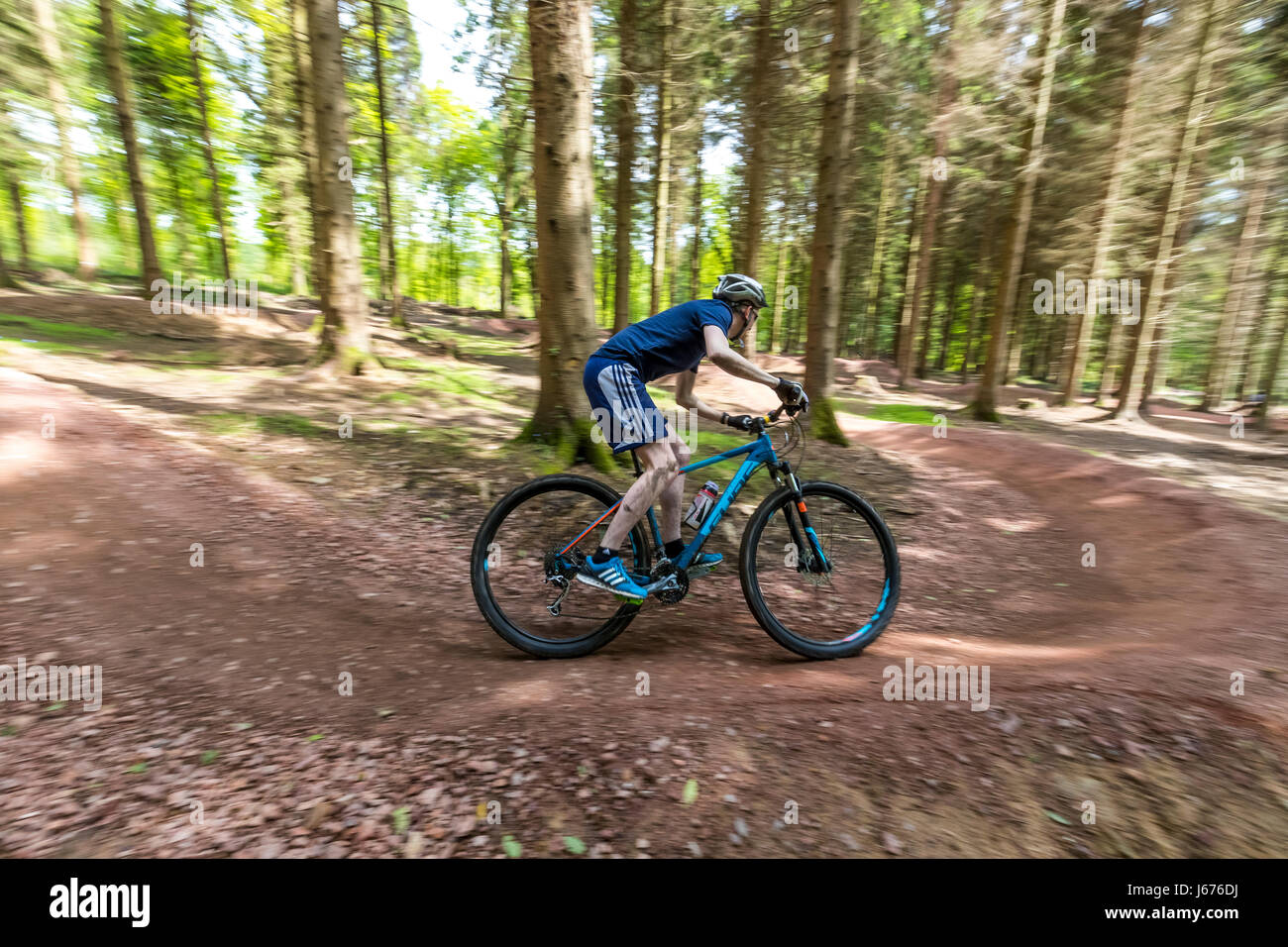 forest of dean bike trails