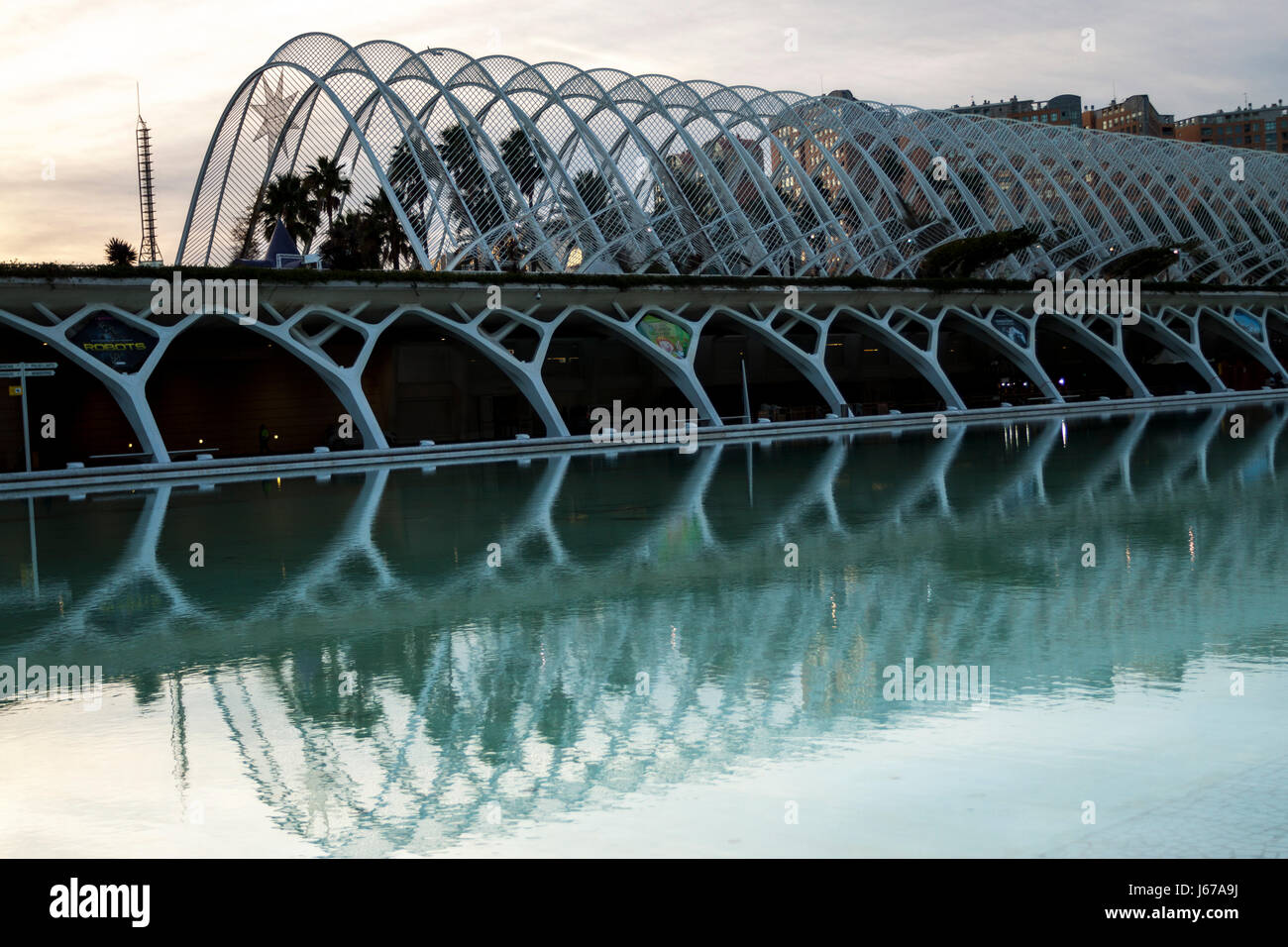 The L'Umbracle lines at winter twilight. Valencia, Spain Stock Photo ...