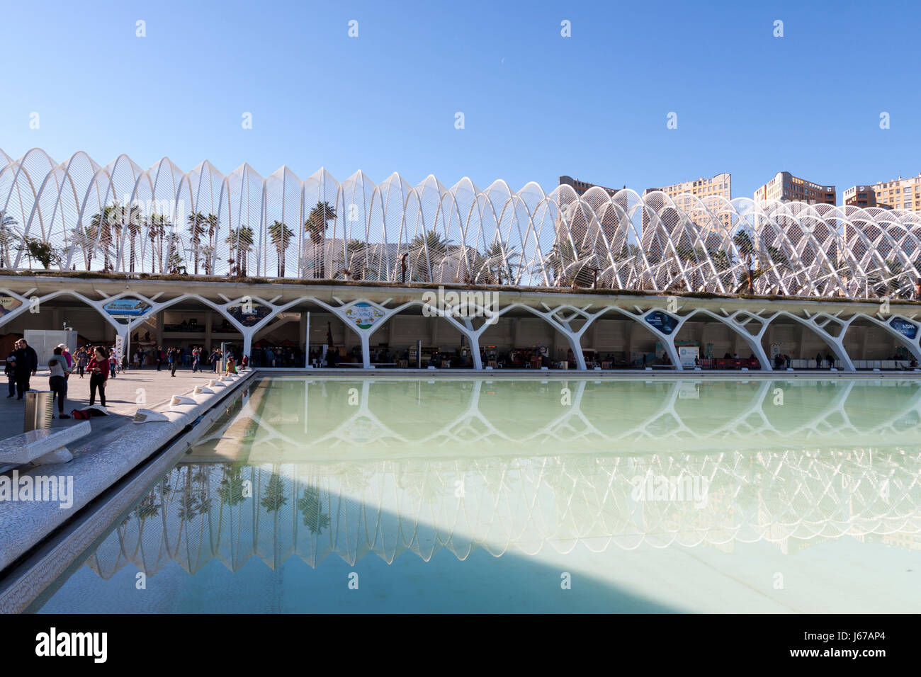 The L'Umbracle lines at sunrise. Valencia, Spain Stock Photo - Alamy