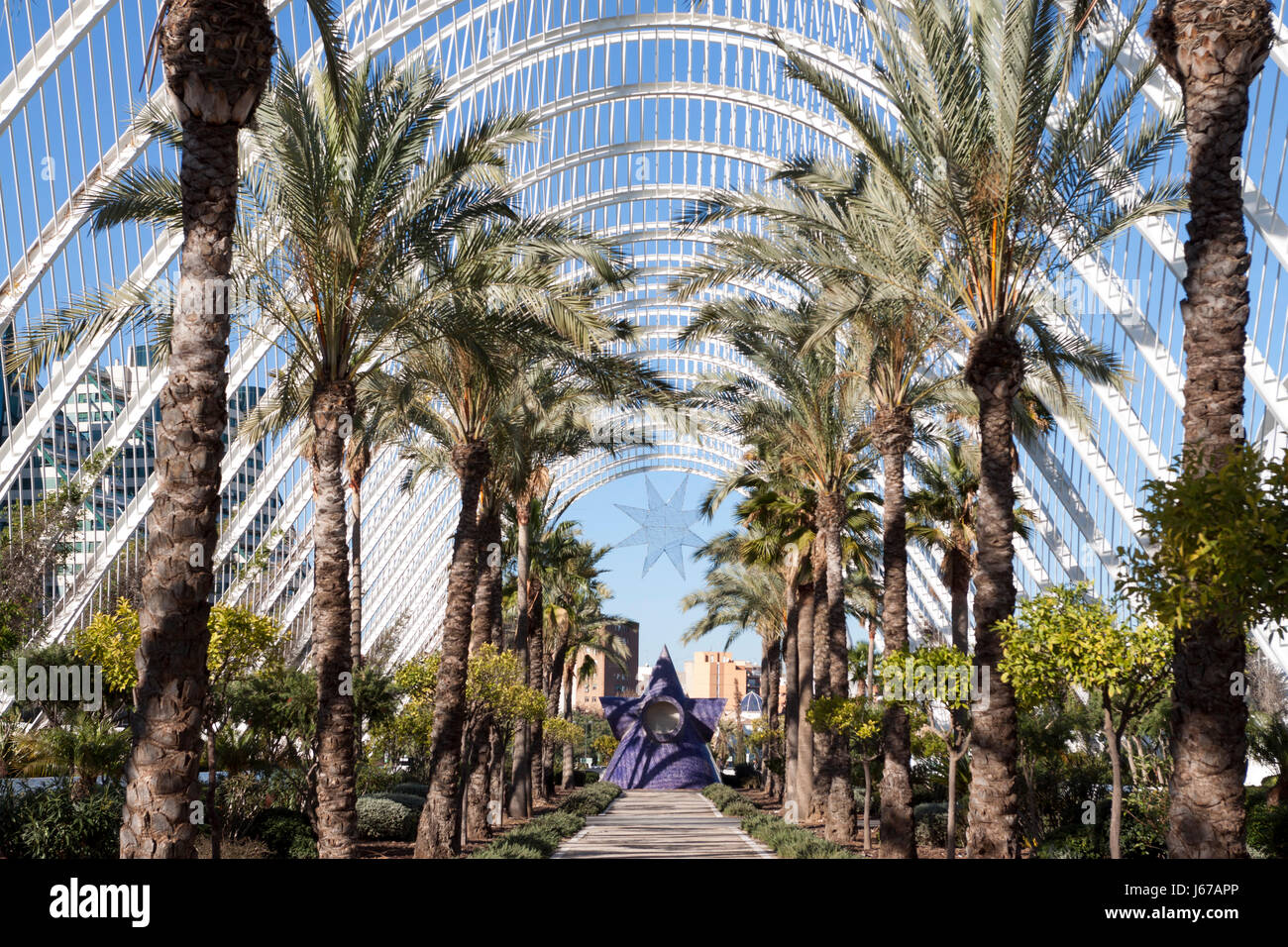 The L'Umbracle lines at sunrise. Valencia, Spain Stock Photo - Alamy
