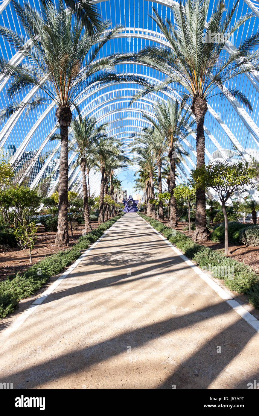 The L'Umbracle lines at sunrise. Valencia, Spain Stock Photo - Alamy