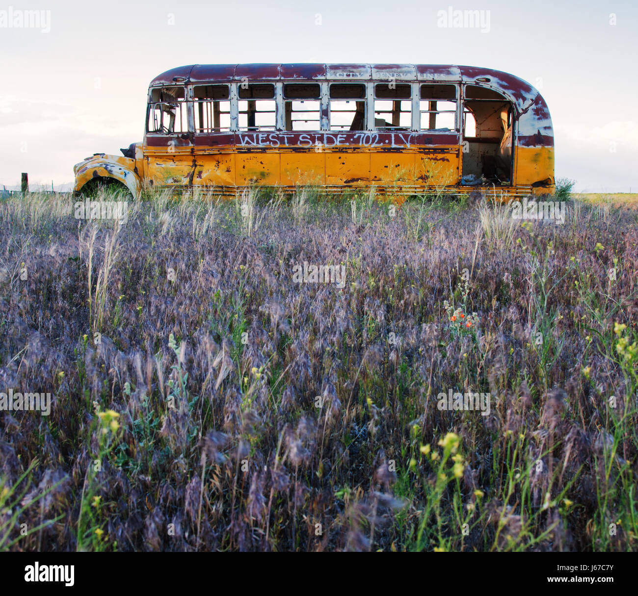 Abandoned bus in an empty field. Stock Photo