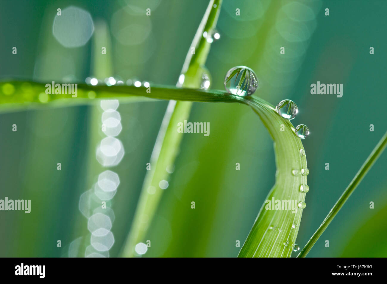 after the rain Stock Photo - Alamy