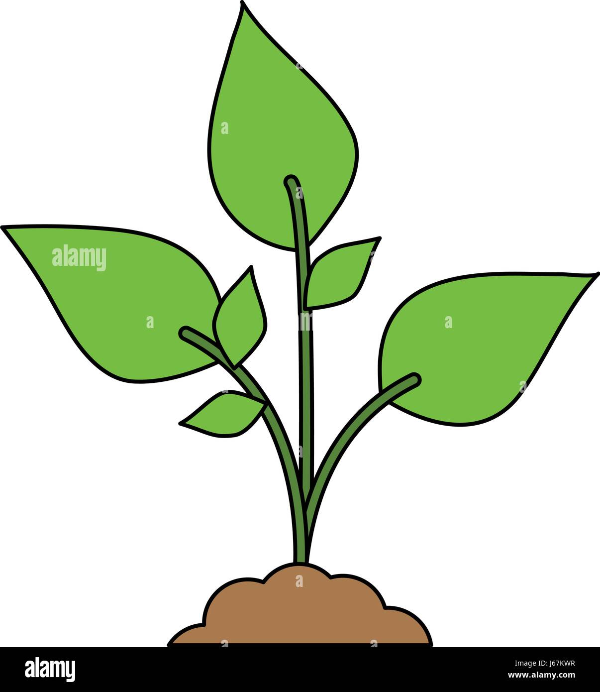 color image cartoon plant with leaves in growth Stock Vector Image