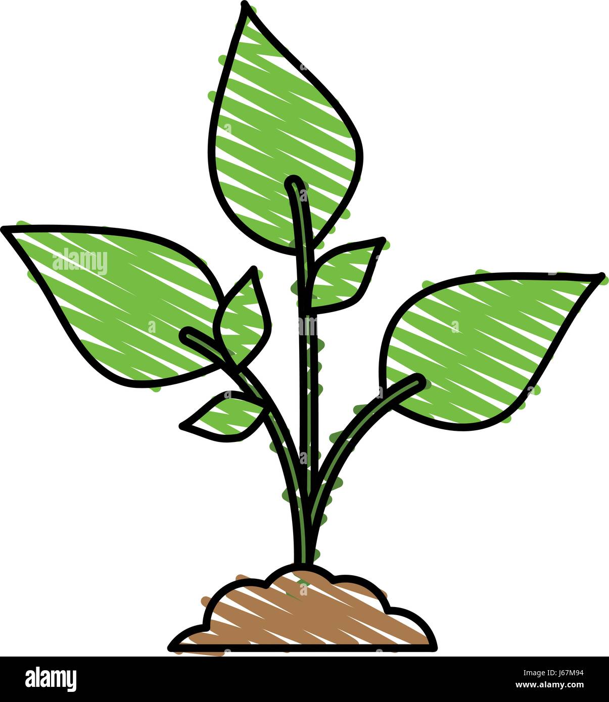 color crayon stripe cartoon plant with leaves in growth Stock Vector