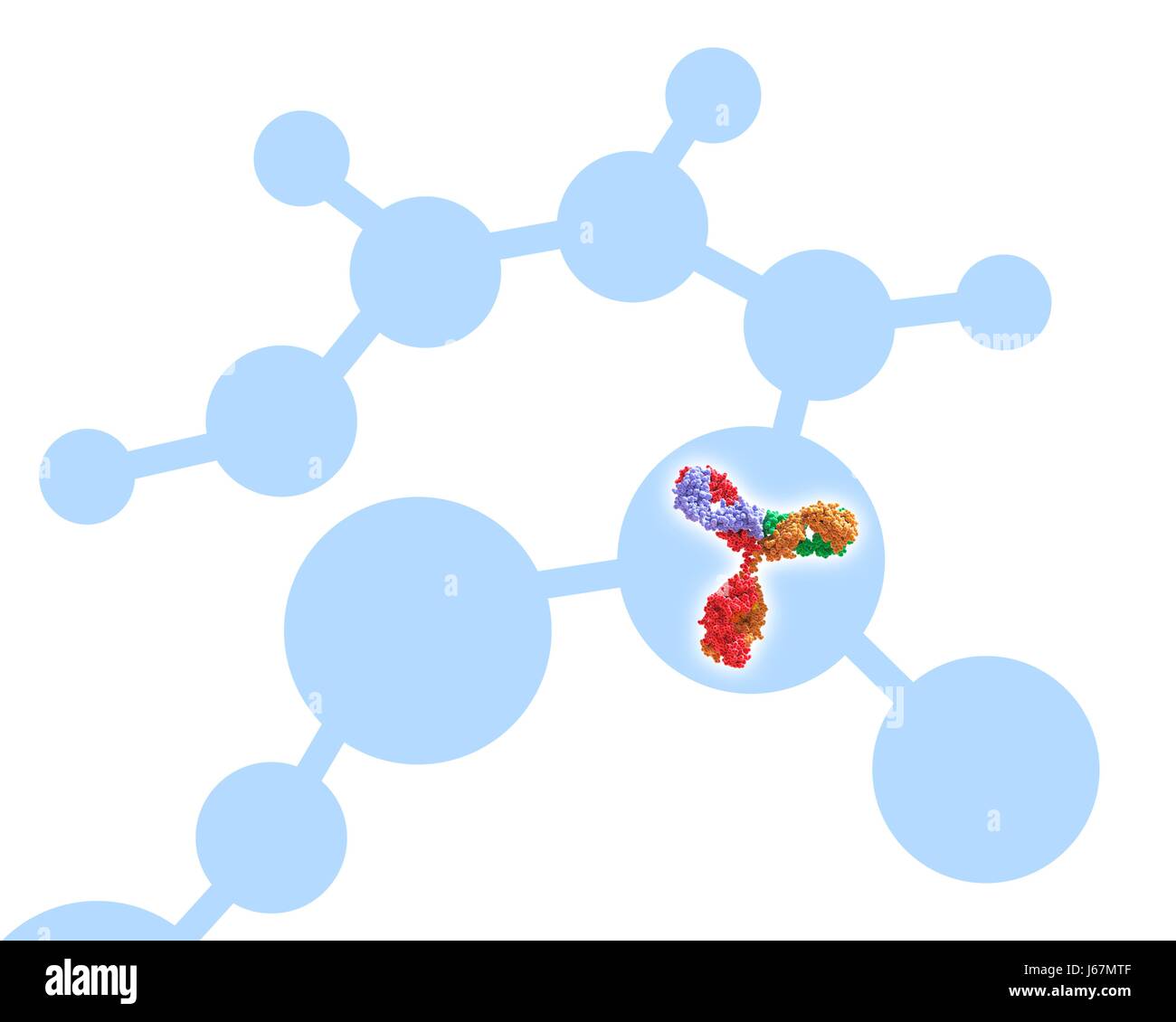 Illustration showing structure of antibody hi-res stock photography and ...