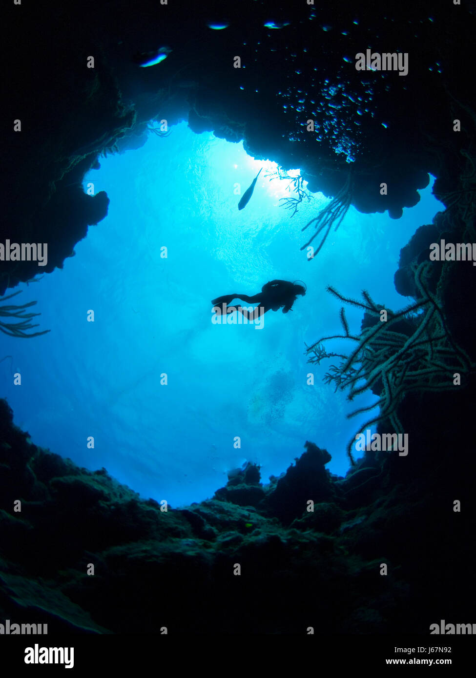 cave diver taucher tauchen riff durchbruch quotturks and caicosquot karibik Stock Photo