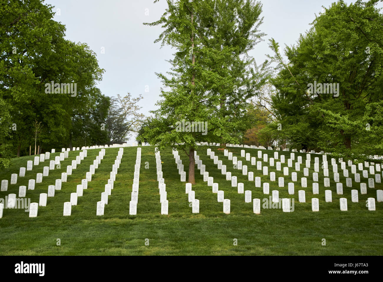 rows of white headstones in arlington cemetery leading up to first military burials section Washington DC USA Stock Photo