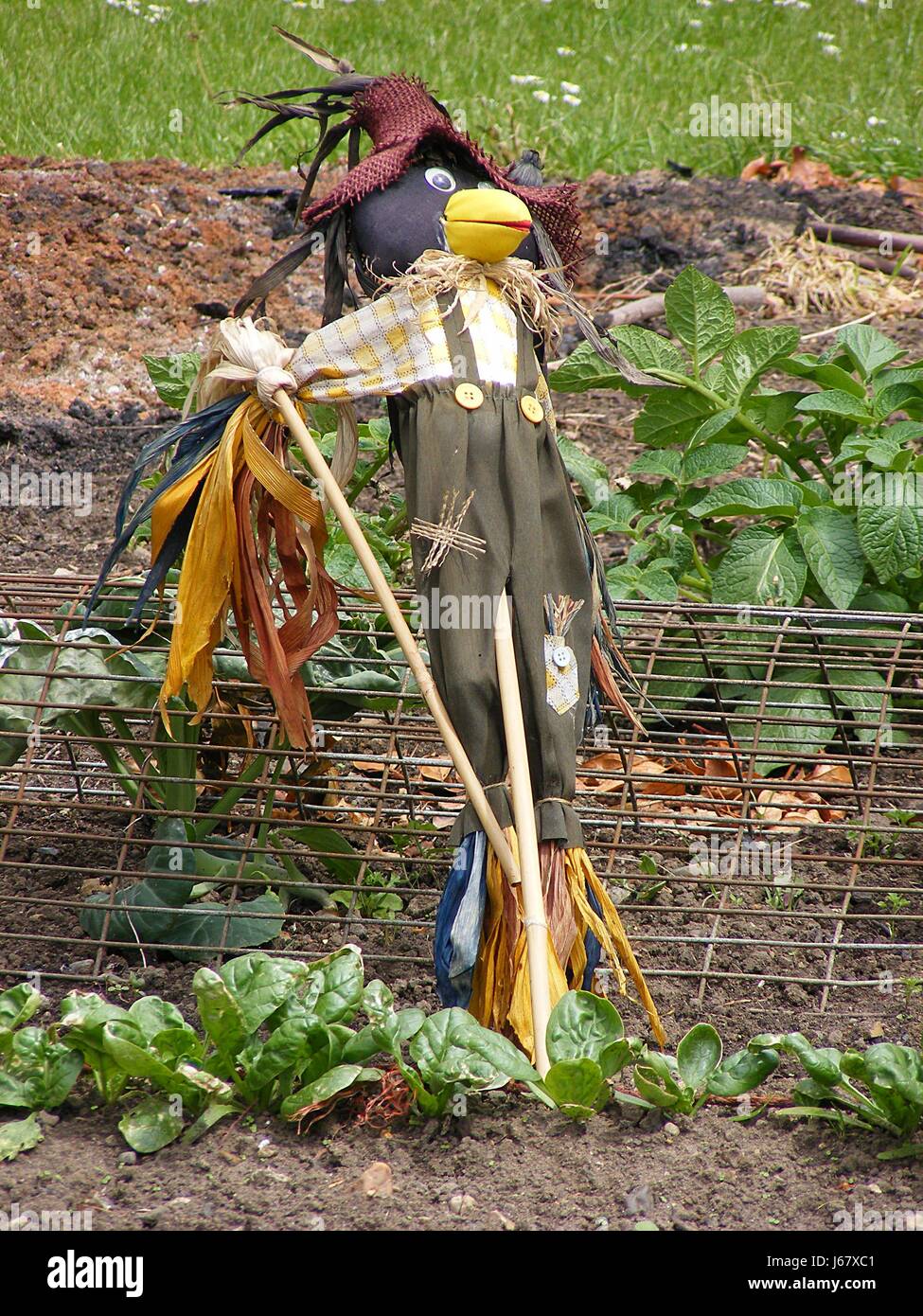 Frighten hires stock photography and images Alamy