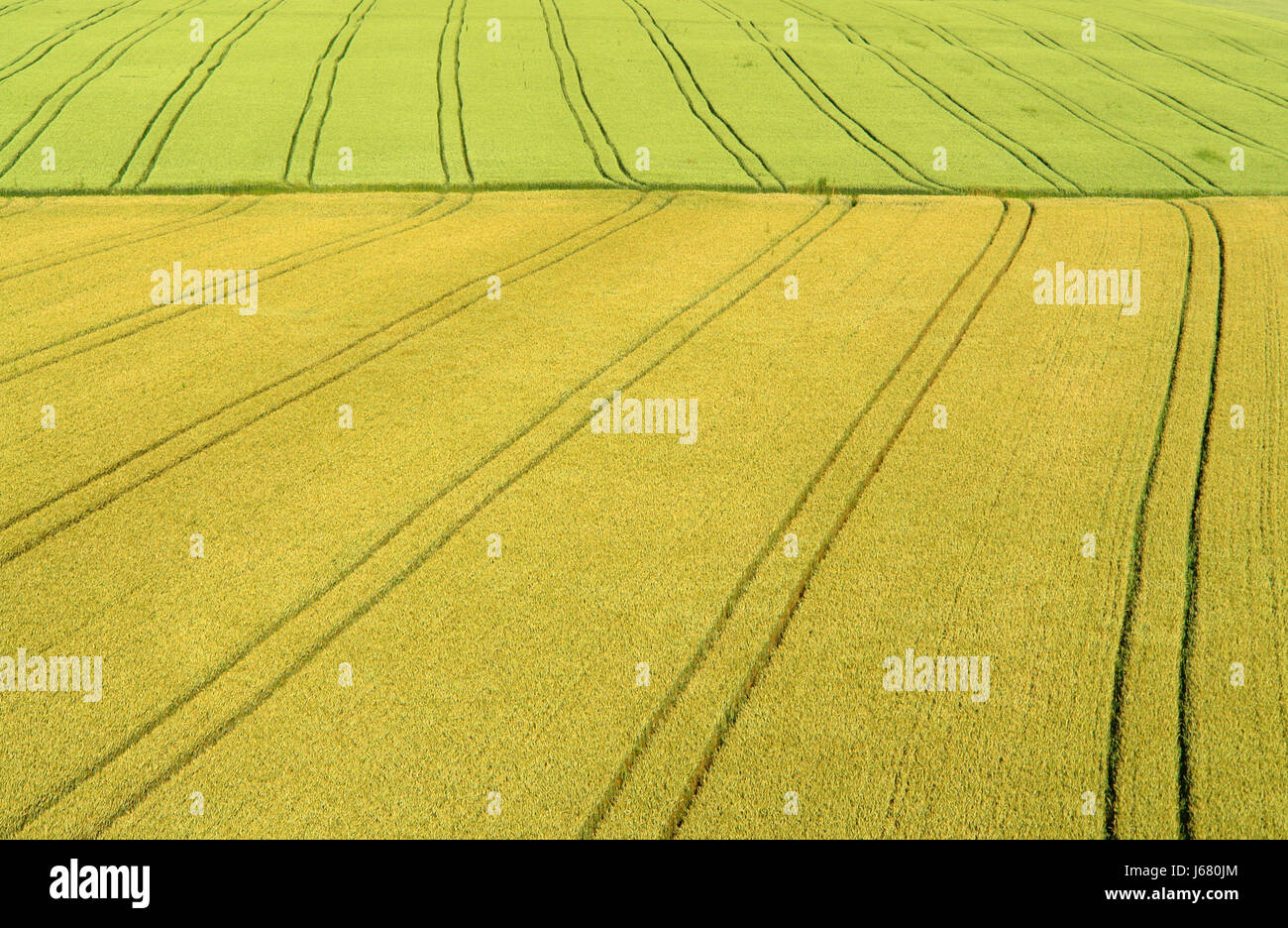 Getreideteppich hi-res stock photography and images - Alamy