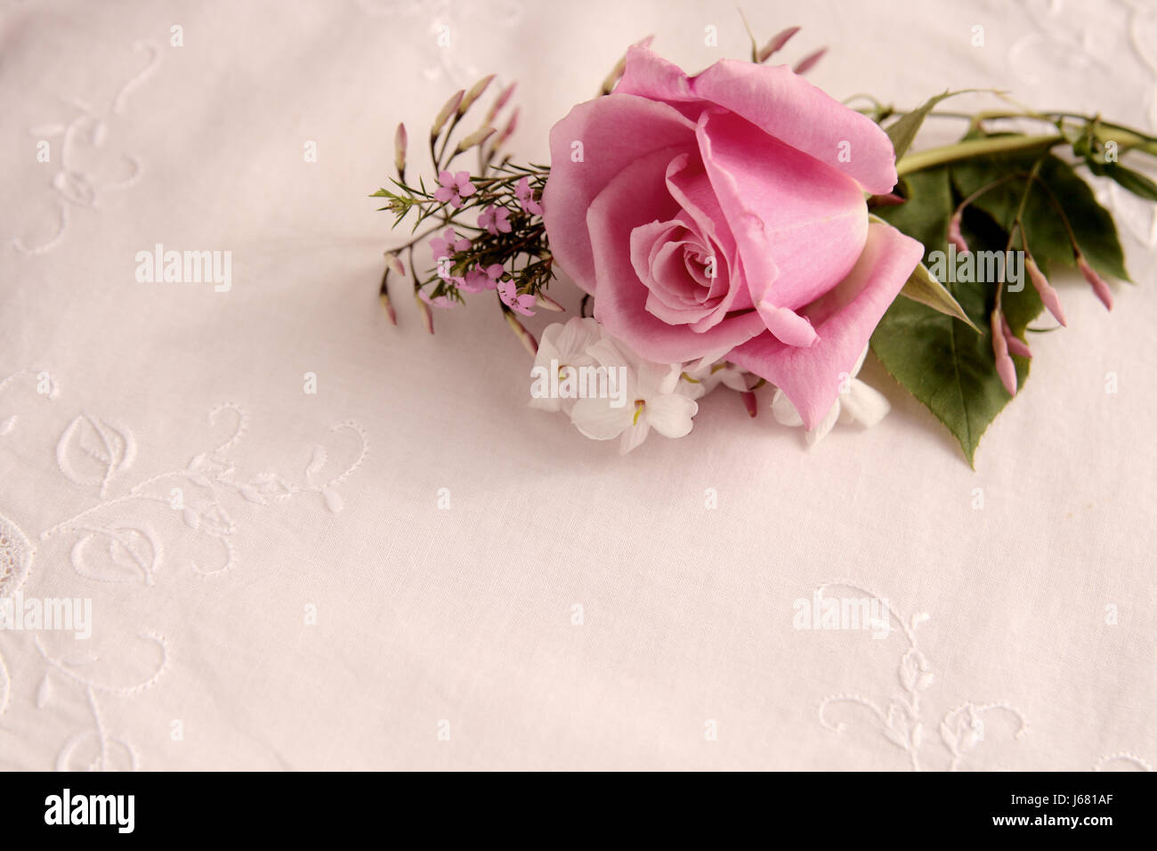 Rose Flower Photography Illustration Plant Flowers Petals