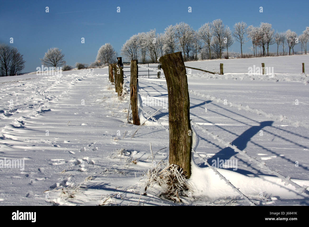 winter fence winter landscape barbed wire barbed-wire fence blanket of ...