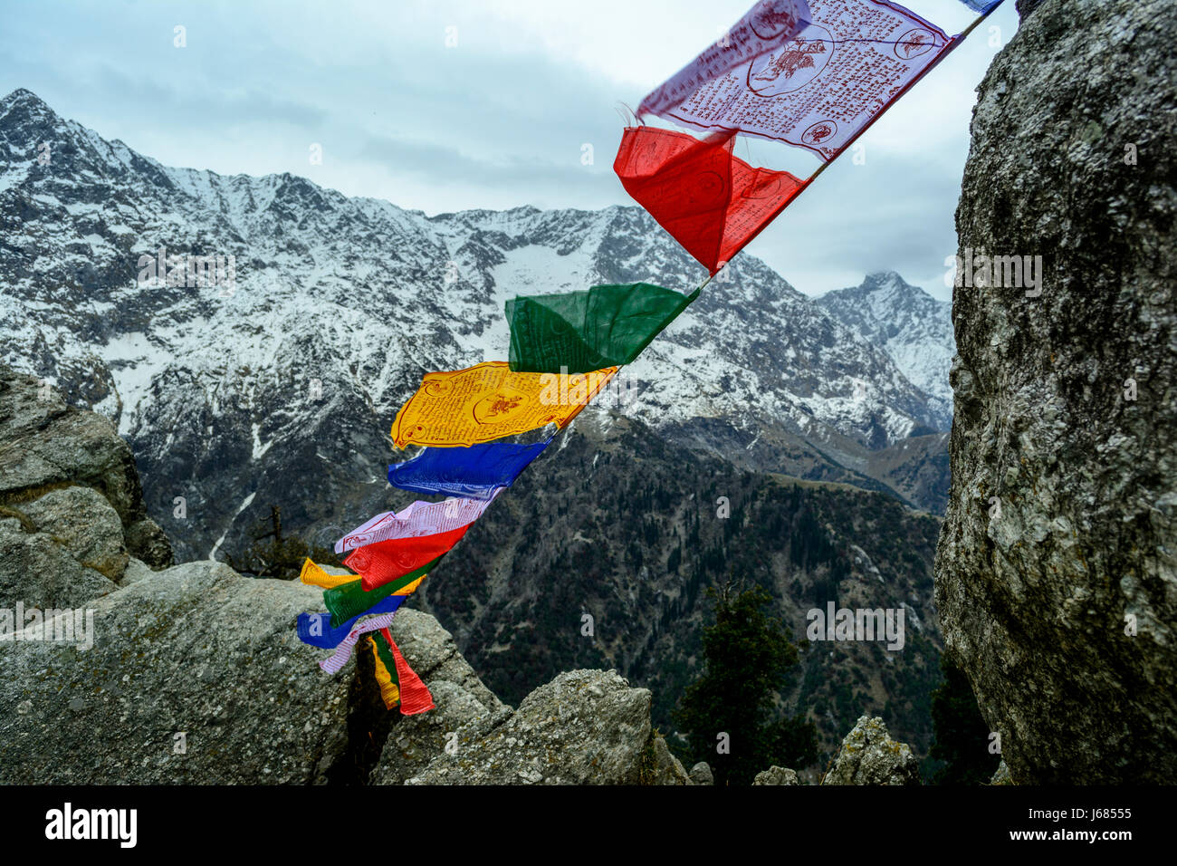 Tibetan prayer flags Triund Dharamsala India Stock Photo