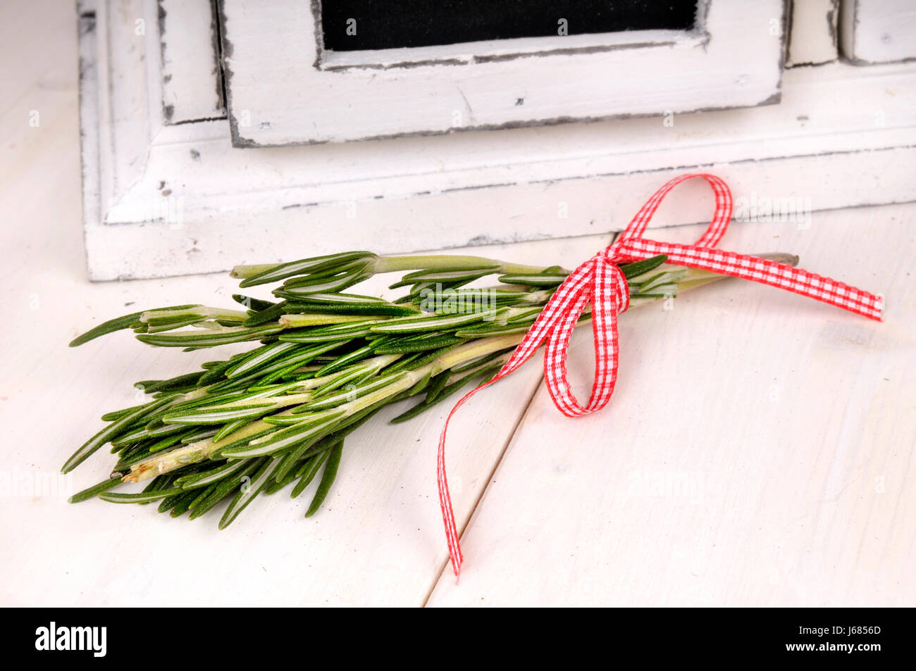 rosmarien Stock Photo