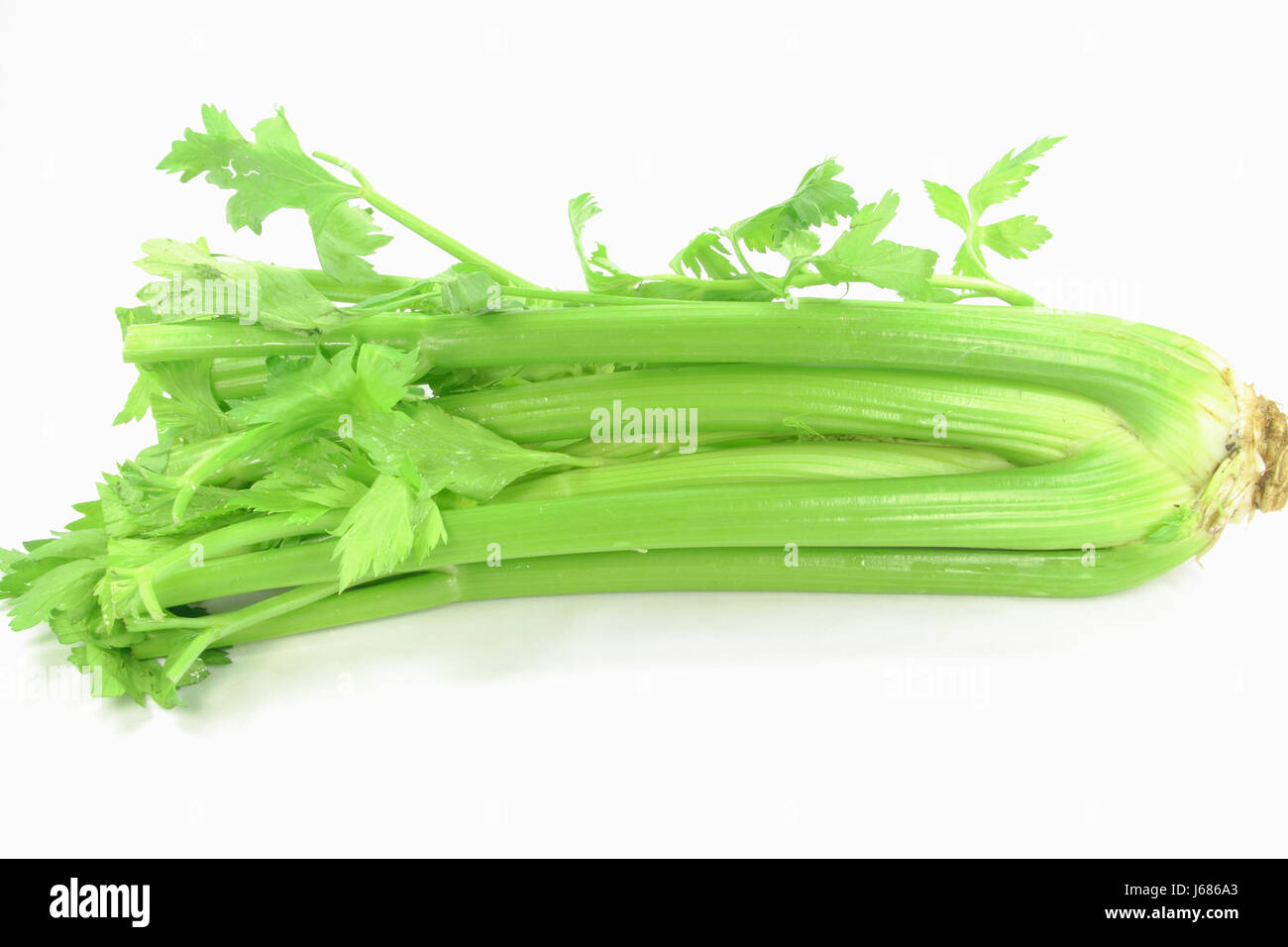 food aliment root vegetable edible herb celery ingredient sellery green