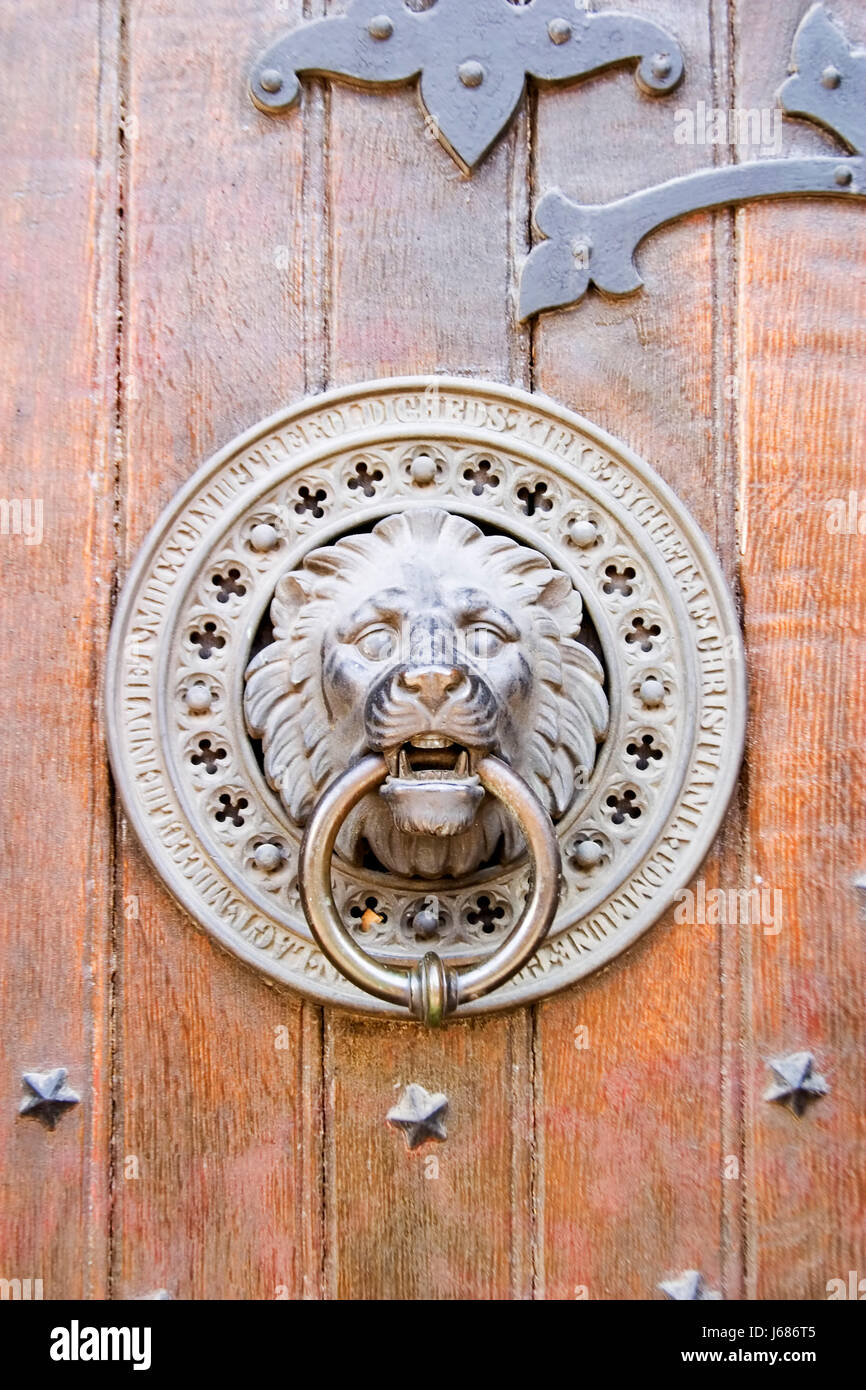 House Building Hand Detail Animal Strong Lion Cat Big Cat Feline