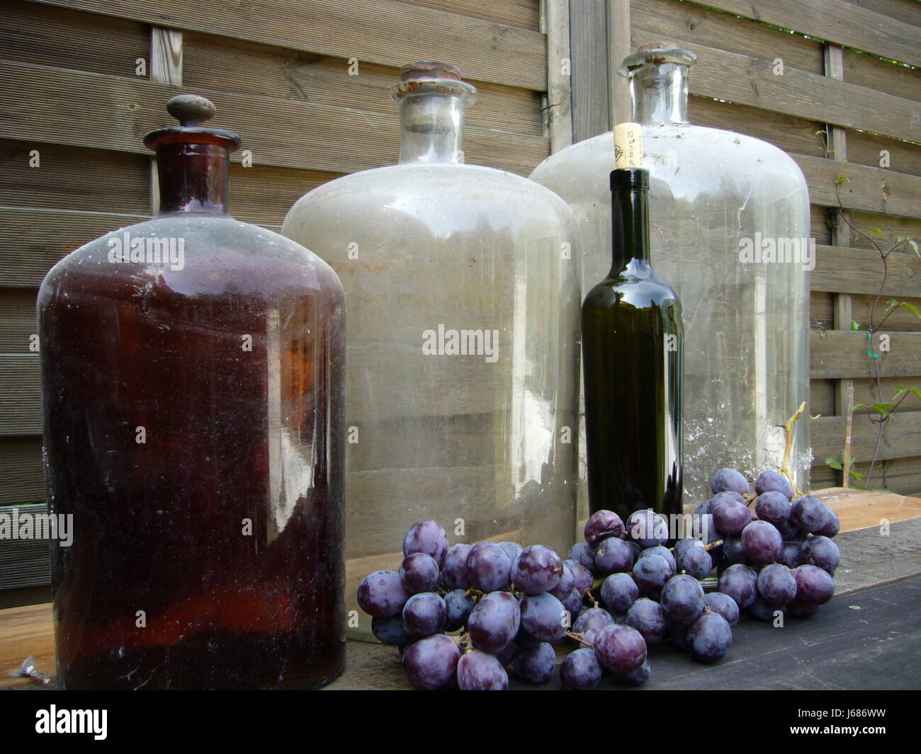 grapes vineyard vintager wine bottle wineyard drink drinking bibs spare time Stock Photo