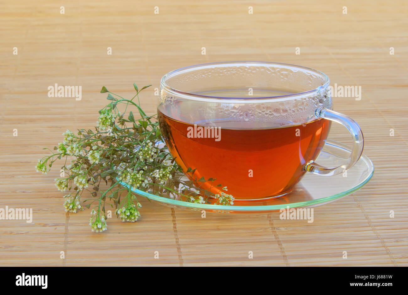 Shepherds purse tea hires stock photography and images Alamy