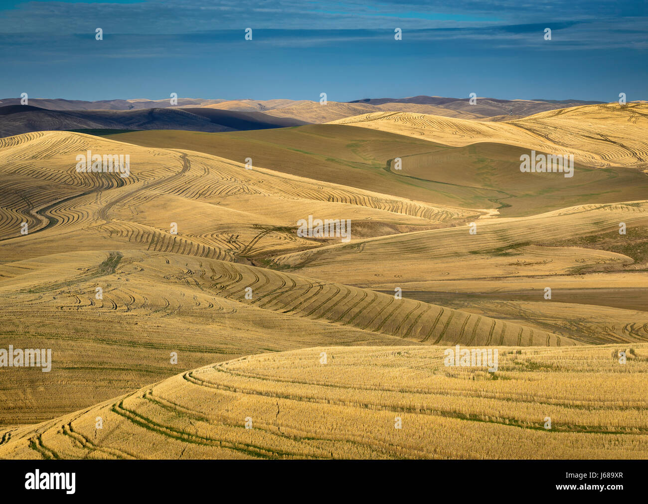 Harvested wheat field from crest of Miller Road; Walla Walla County, Washington. Stock Photo