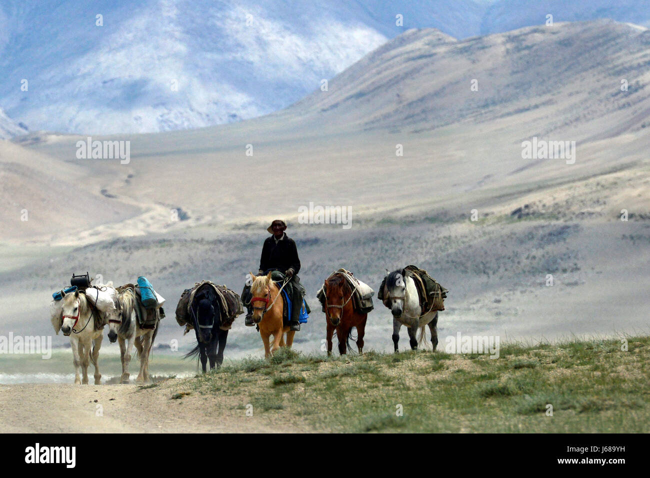 Cowboy riding horse pack horse hires stock photography and images Alamy