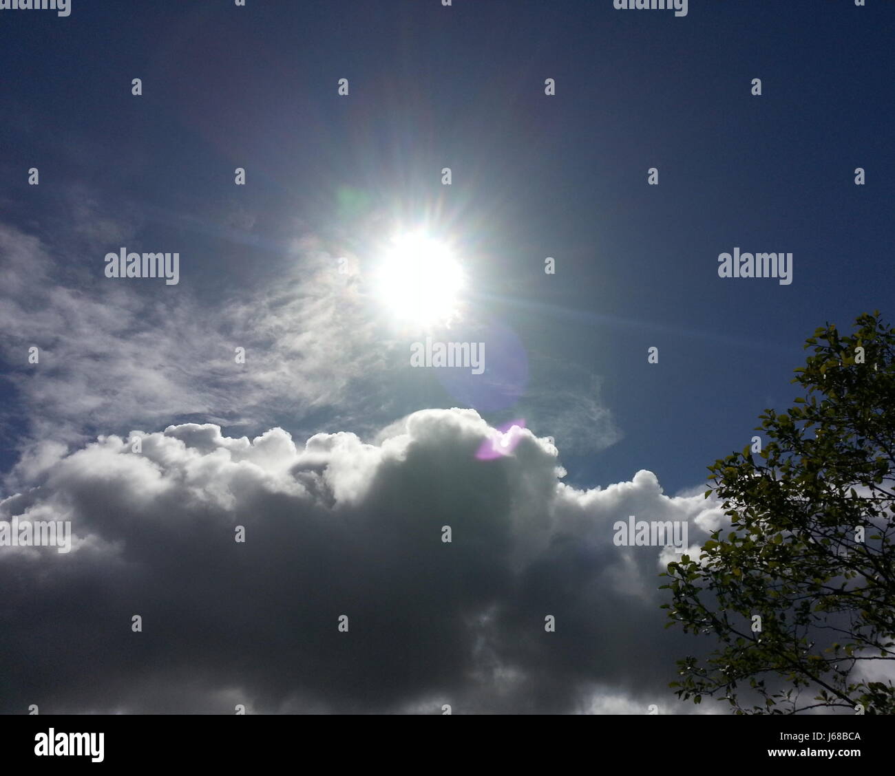 Shining Sun Stock Photo