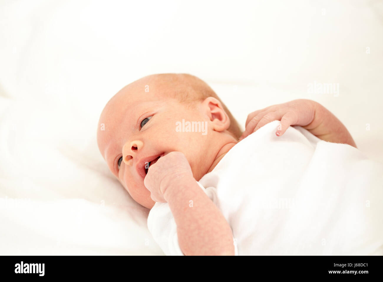 2 week old baby Stock Photo Alamy
