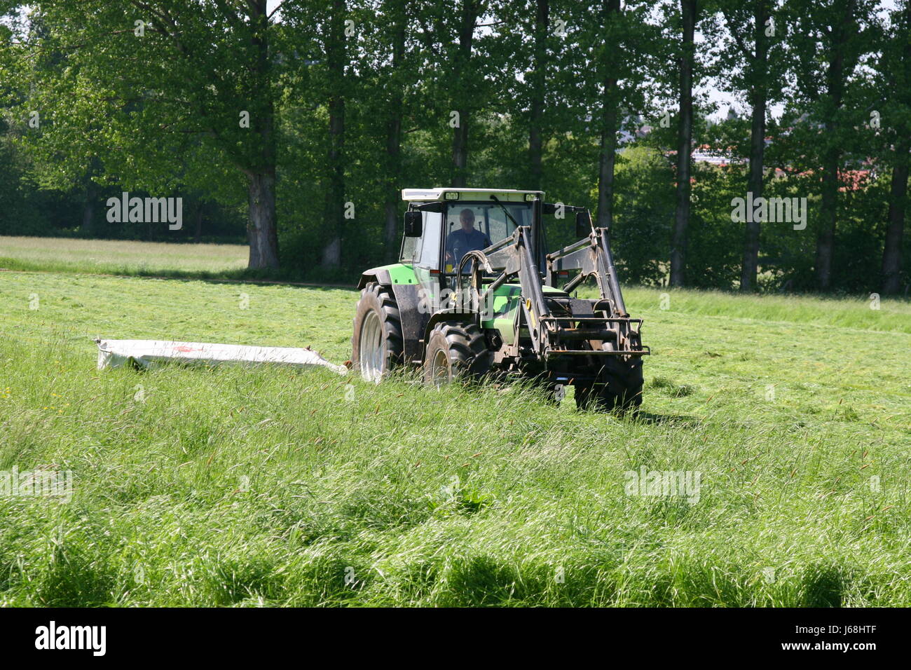 Get first cut hi-res stock photography and images - Alamy