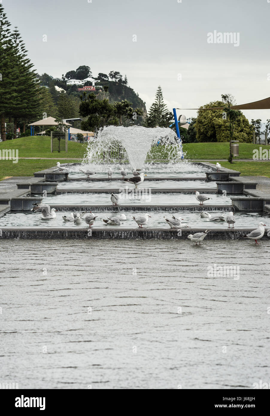 Napier, New Zealand - March 9, 2017: Fountain and cascade at beach park under silver sky. Green vegetation and hill with houses in back. Seagulls and Stock Photo