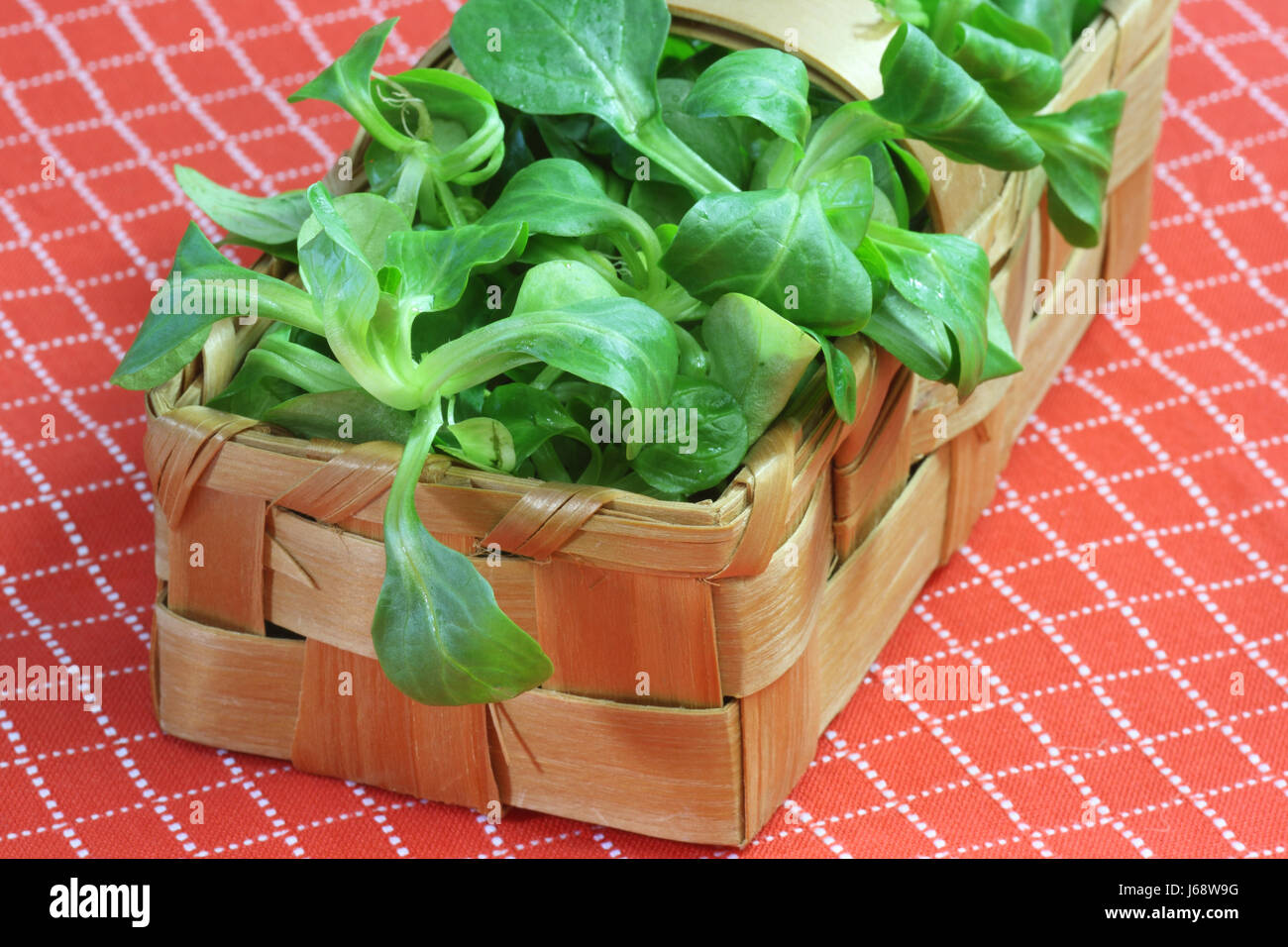 lamb's lettuce fresh salad food aliment basket rich in vitamins lamb's lettuce Stock Photo