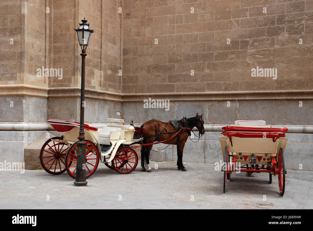 horse cathedral coach horse-drawn carriage horse cathedral mallorca spain coach Stock Photo