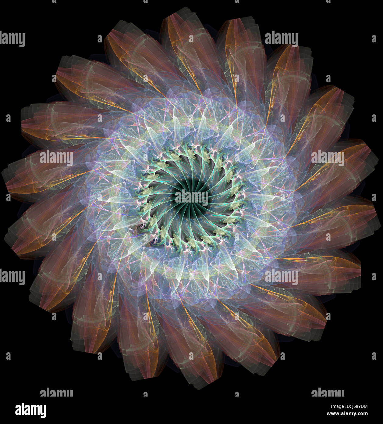 graphic flower plant illustration spiral abstract pattern conspicuous ...