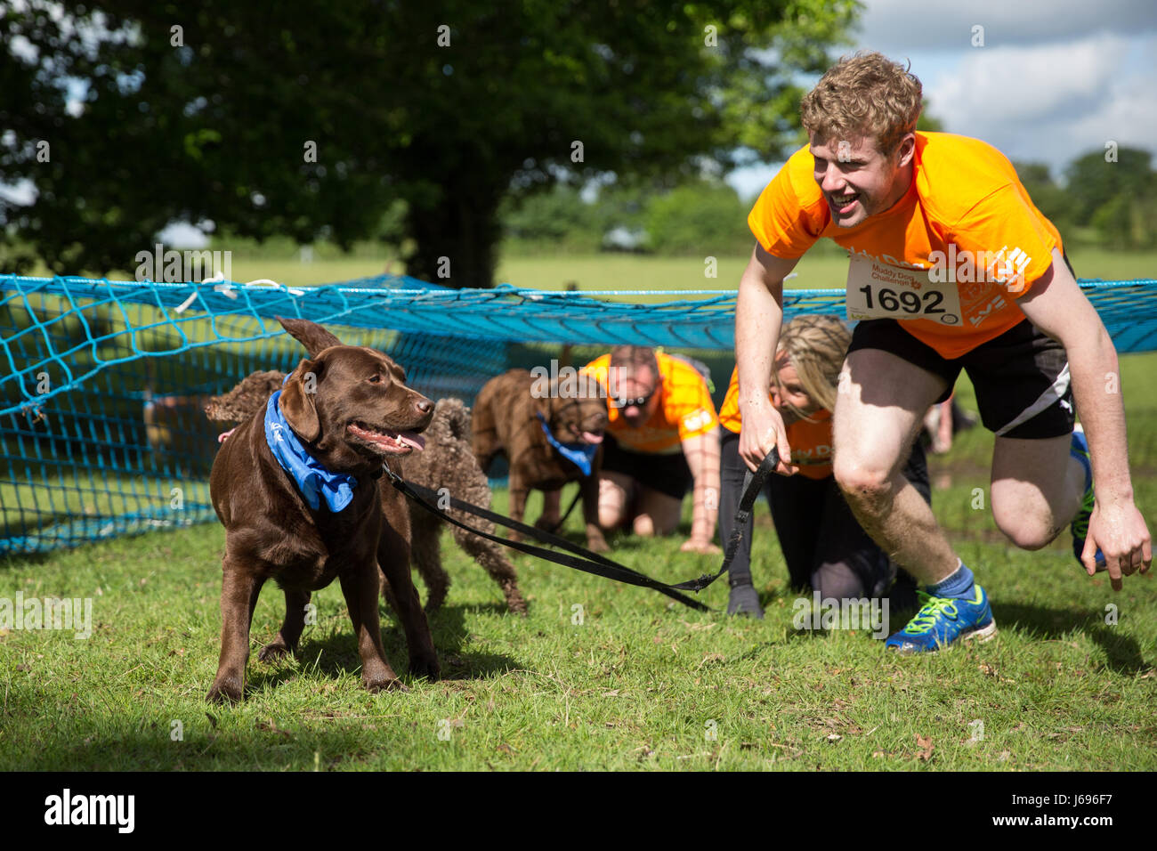 Windsor, UK. 20th May, 2017. Dogs and owners compete in the Muddy Dog Challenge obstacle run in Windsor Great Park in aid of Battersea Dogs’ and Cats’ Home. Credit: Mark Kerrison/Alamy Live News Stock Photo