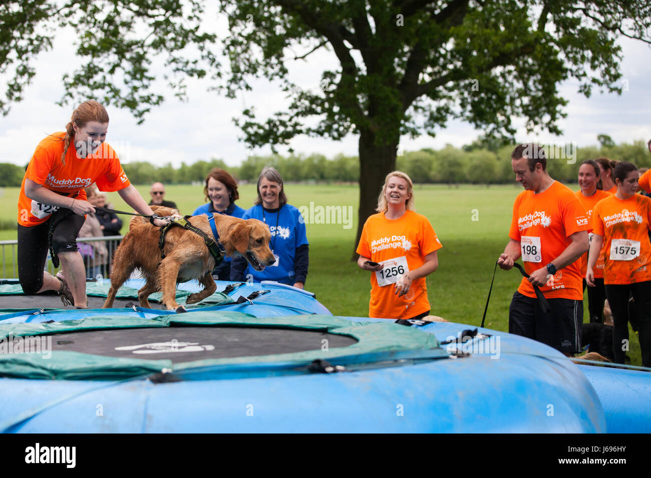 Muddy dog challenge battersea hires stock photography and images Alamy