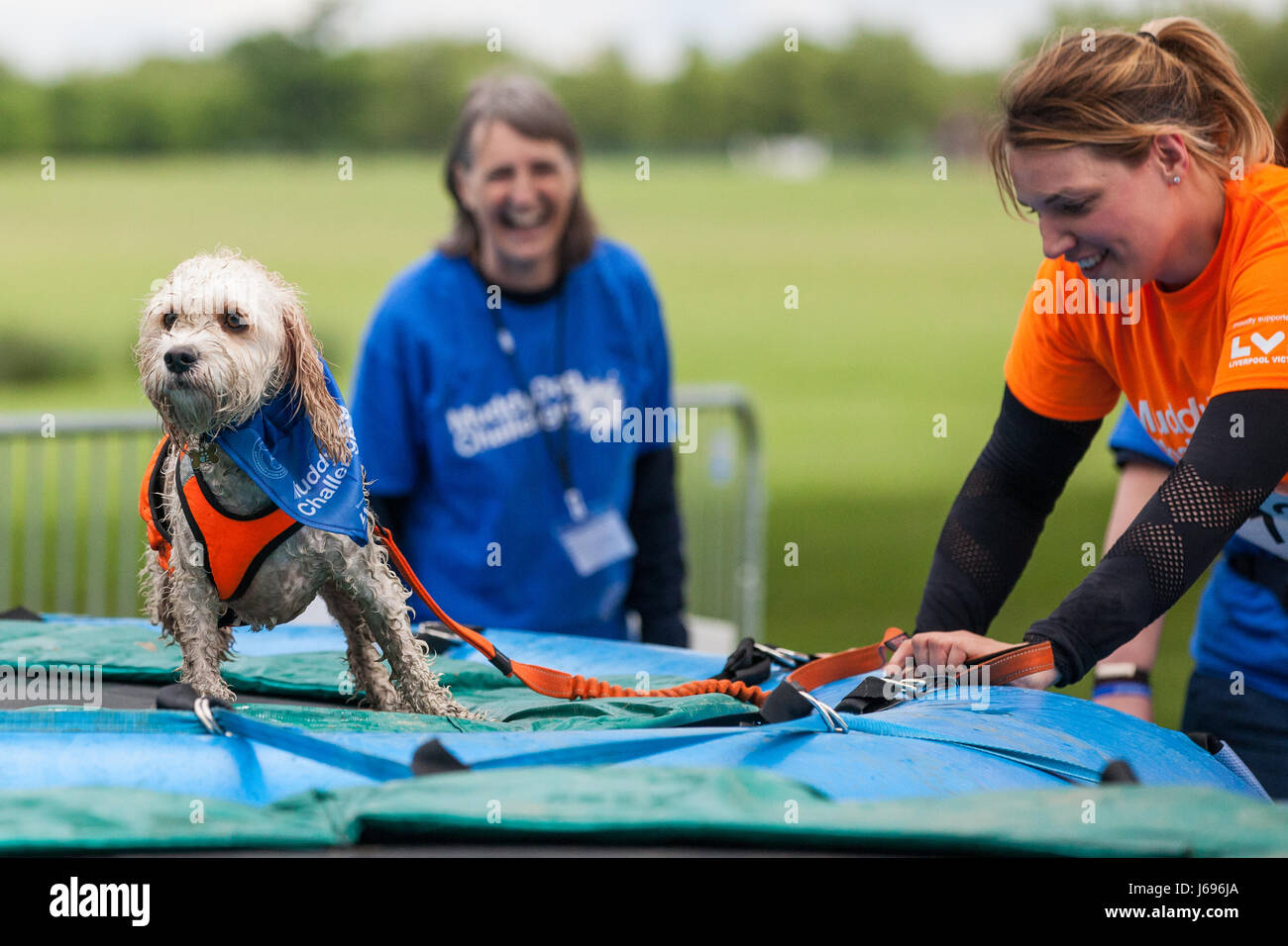 Windsor, UK. 20th May, 2017. Dogs and owners compete in the Muddy Dog
