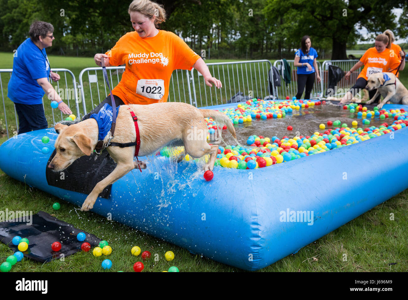 Windsor, UK. 20th May, 2017. Dogs and owners compete in the Muddy Dog
