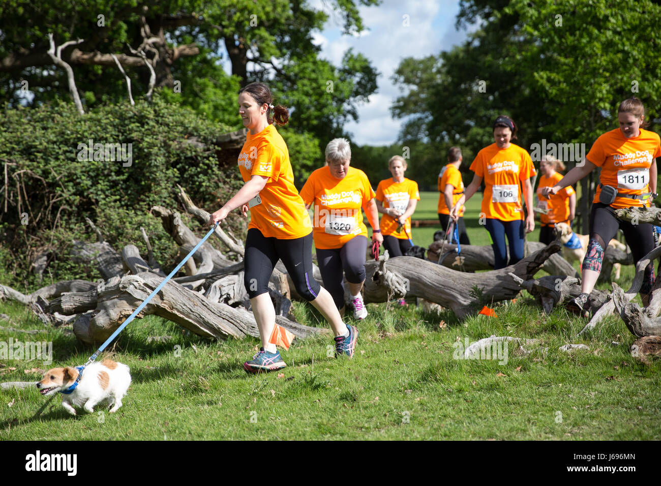 Windsor, UK. 20th May, 2017. Dogs and owners compete in the Muddy Dog