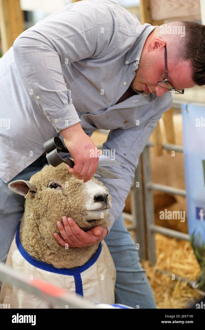 Royal Welsh Spring Festival, Builth Wells, Powys, Wales - Saturday 20th ...