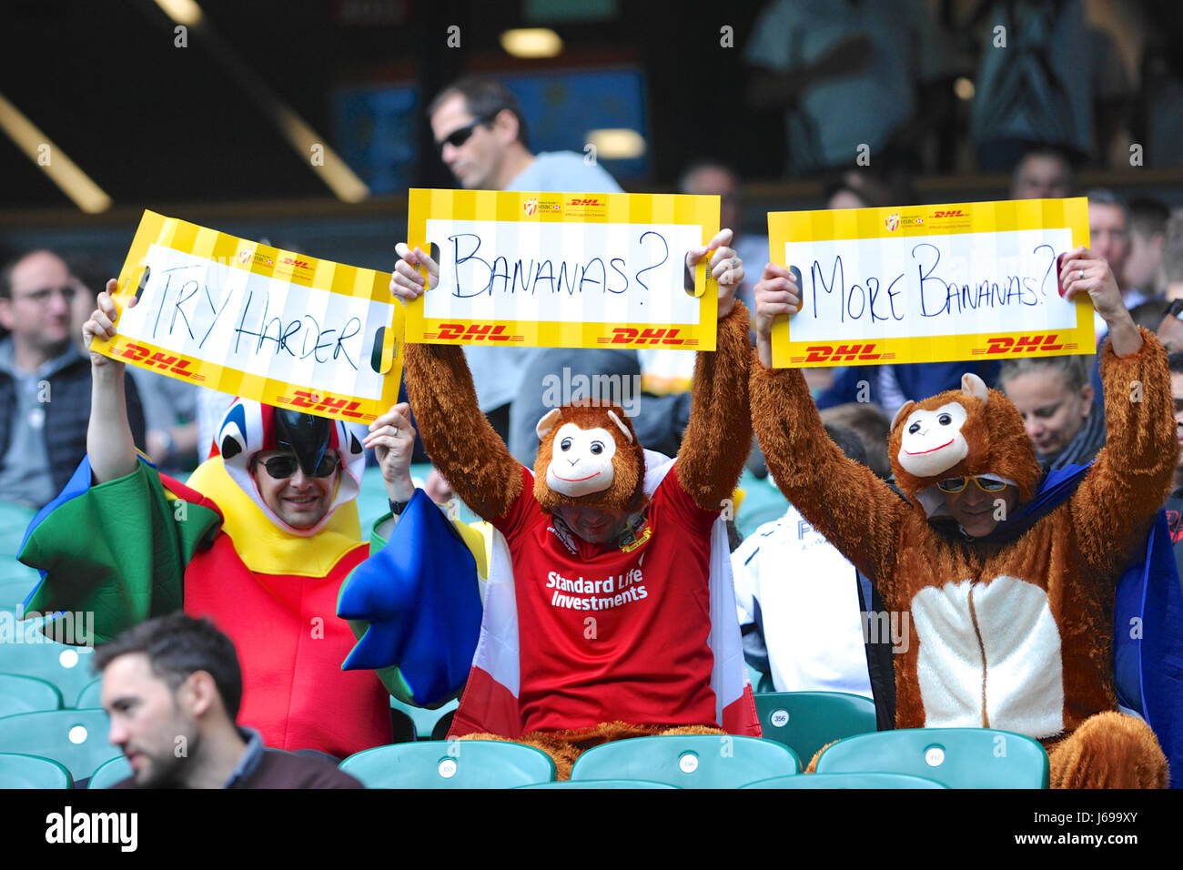 Rugby sevens fancy dress hires stock photography and images Alamy