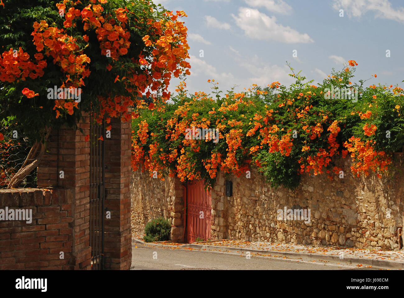 goal passage gate archgway gantry blossoms wall tuscany toscana bleed firmament Stock Photo