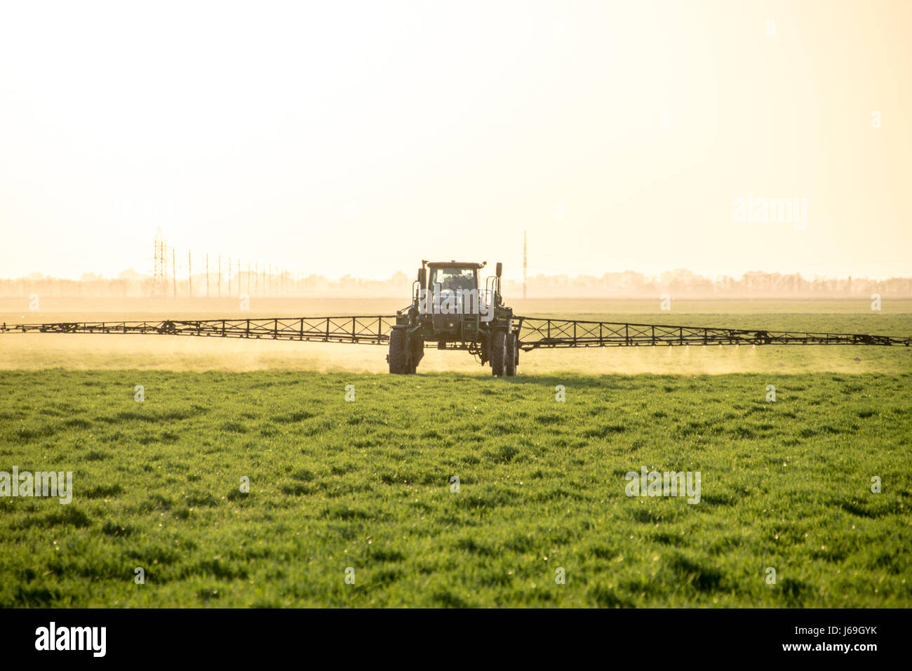 Tractor with high wheels is making fertilizer on young wheat. The use of finely dispersed spray chemicals. Tractor on the sunset background. Stock Photo