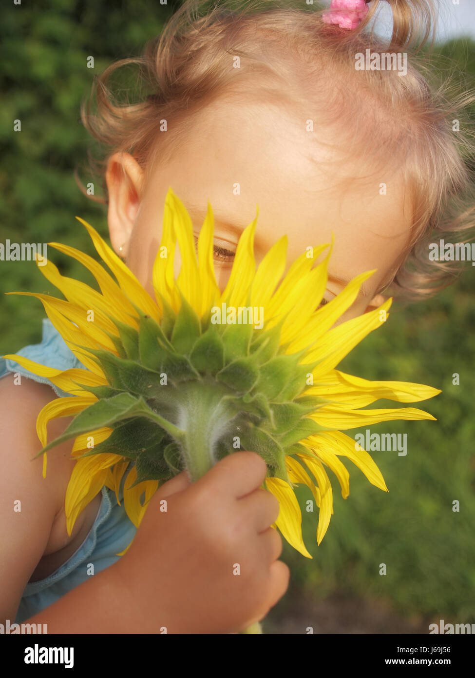 Child baby sunflower flower hi res stock photography and images