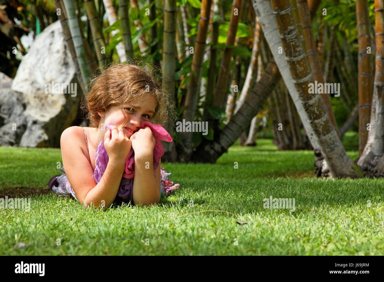 Hawaiian isla hi-res stock photography and images - Alamy