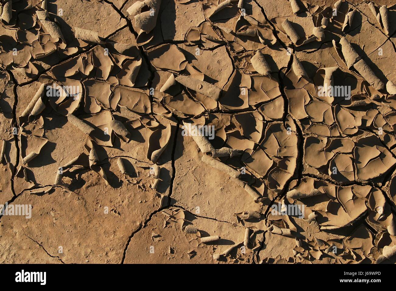Flakes of dried mud hi-res stock photography and images - Alamy